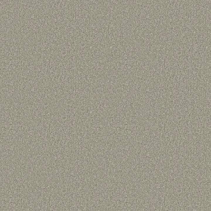 Shaw Floors Find your comfort I - Tonal — Willow Tree (T) · EA817-330T — flooring selection with LeviArs Design & Remodeling