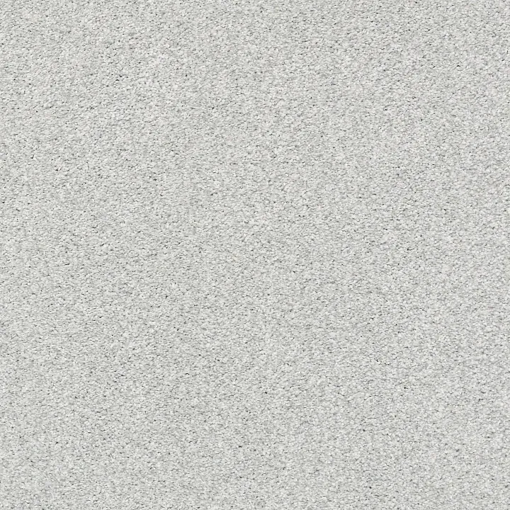 Shaw Floors Find your comfort II - Tonal — Bay Waves (T) · EA818-522T — flooring selection with LeviArs Design & Remodeling