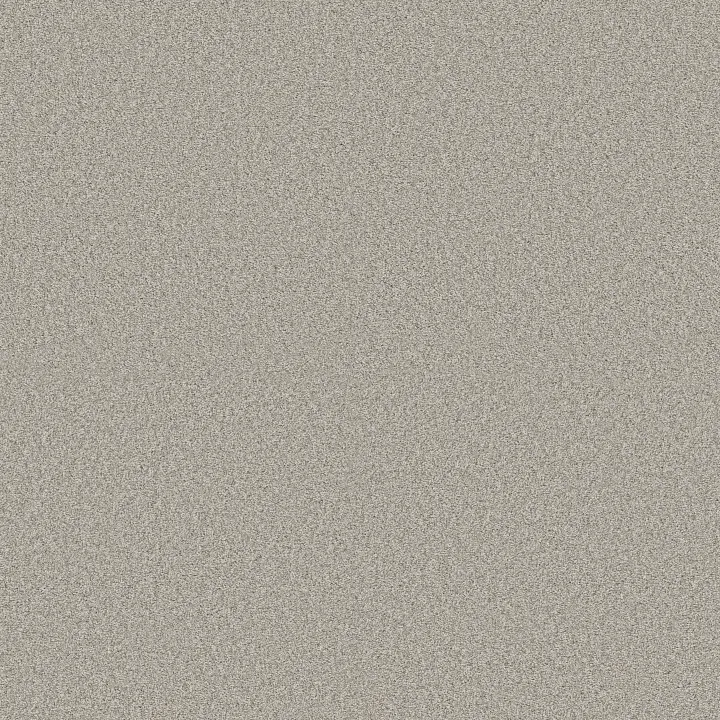 Shaw Floors Comforting II — French Buff · 5E750-00146 — flooring selection with LeviArs Design & Remodeling