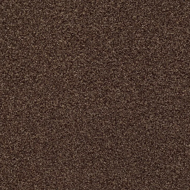 Shaw Floors Find your comfort II - Tonal — Chocolate Treat · EA818-707T — flooring selection with LeviArs Design & Remodeling
