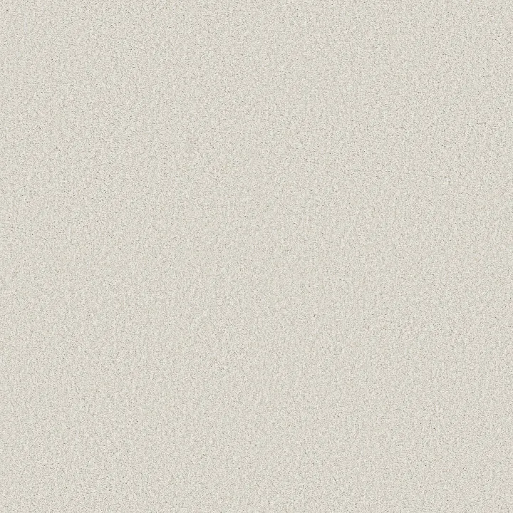 Shaw Floors Comforting II — Pearly Gates · 5E750-00142 — flooring selection with LeviArs Design & Remodeling