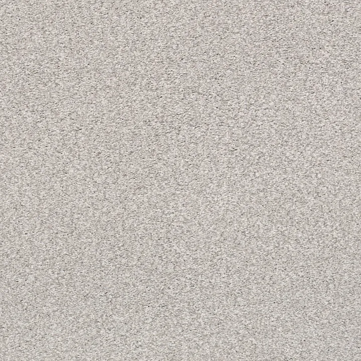 Shaw Floors Tonal Comfort II — Dreamy · 5E657-00537 — flooring selection with LeviArs Design & Remodeling