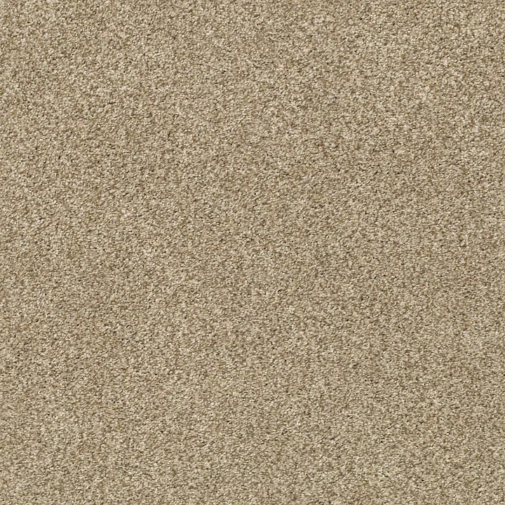 Shaw Floors Tonal Comfort II — Honey Tea · 5E657-00750 — flooring selection with LeviArs Design & Remodeling