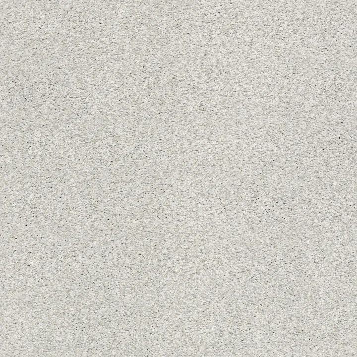 Shaw Floors Comforting II — Shimmer · 5E750-00549 — flooring selection with LeviArs Design & Remodeling