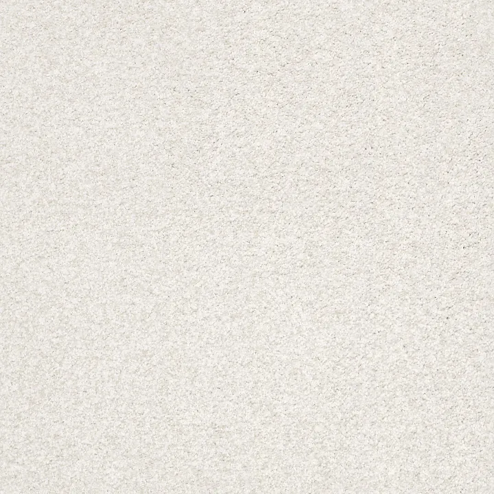 Shaw Floors Find your comfort II - Tonal — Neighborhood Bi · EA818-152T — flooring selection with LeviArs Design & Remodeling