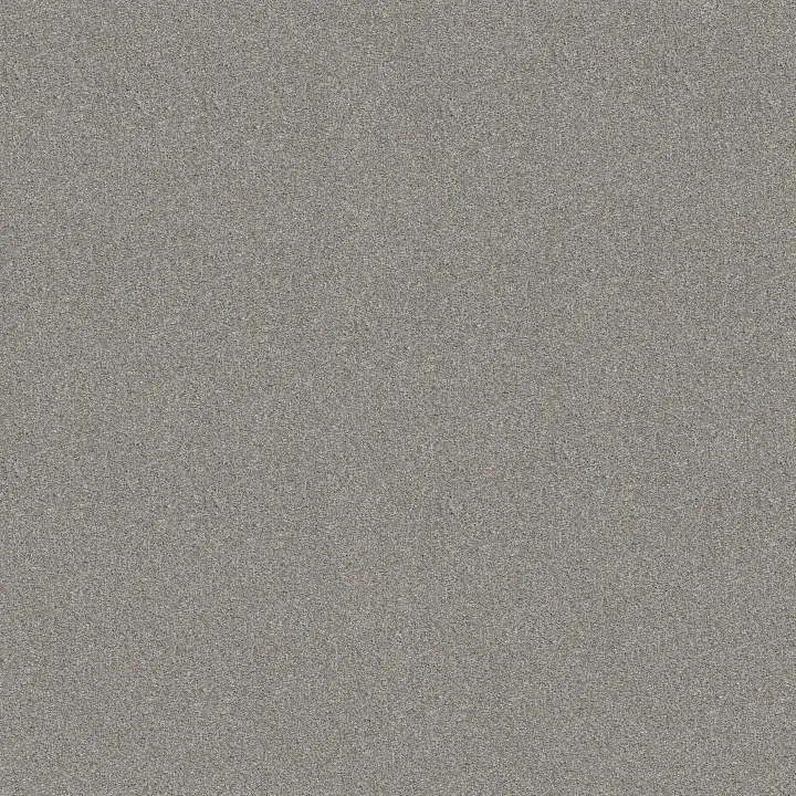 Shaw Floors Find your comfort II - Tonal — Restful Day (T) · EA818-512T — flooring selection with LeviArs Design & Remodeling