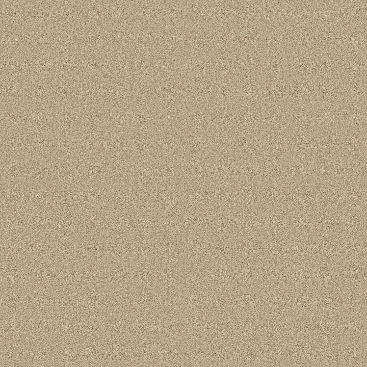 Shaw Floors Find your comfort II - Tonal — Sun Kissed (T) · EA818-110T — flooring selection with LeviArs Design & Remodeling