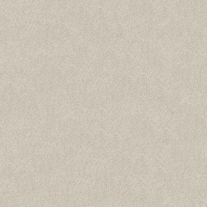 Shaw Floors Find your comfort II - Tonal — Warm Blanket (T · EA818-114T — flooring selection with LeviArs Design & Remodeling