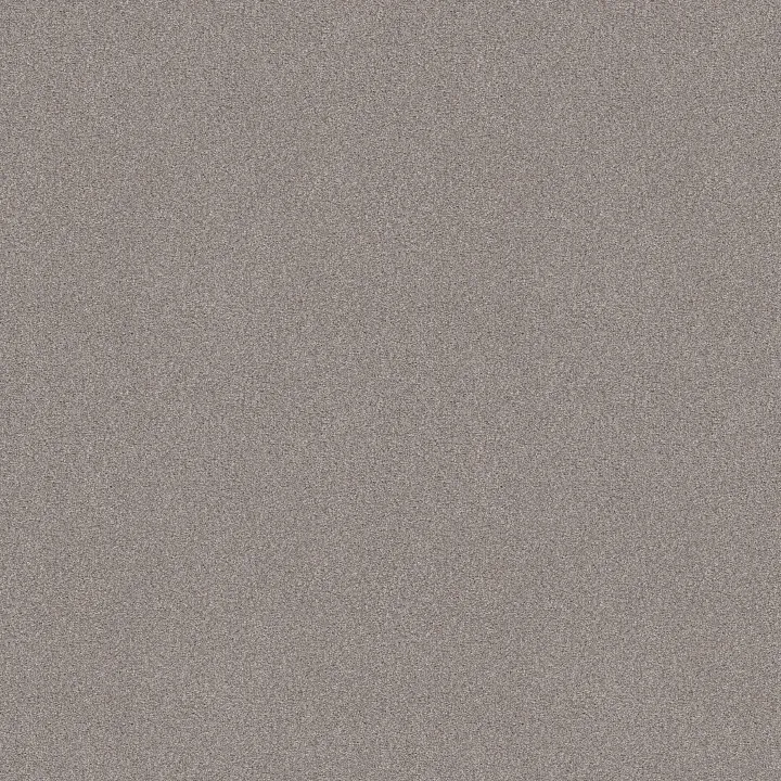 Shaw Floors Tonal Comfort II — Whisper · 5E657-00536 — flooring selection with LeviArs Design & Remodeling