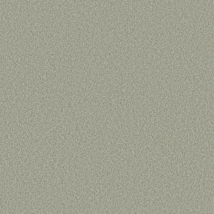 Shaw Floors Comforting II — Sage Brush · 5E750-00340 — flooring selection with LeviArs Design & Remodeling