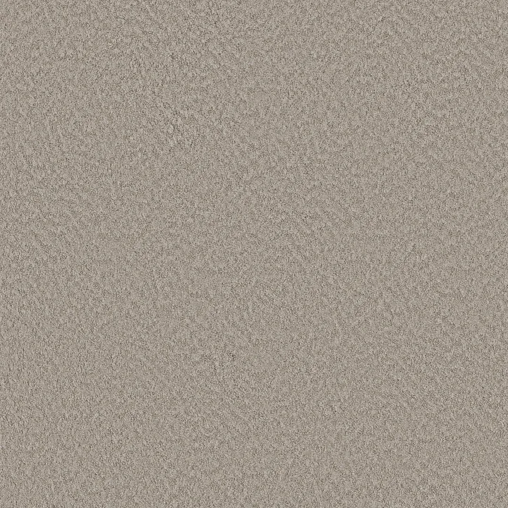 Shaw Floors Alluring Canvas — Fossil Path · 5E445-00108 — flooring selection with LeviArs Design & Remodeling