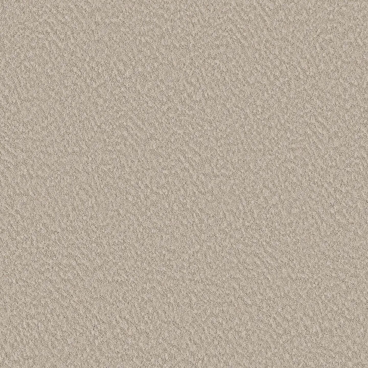 Shaw Floors Alluring Canvas — Sandstone · 5E445-00743 — flooring selection with LeviArs Design & Remodeling