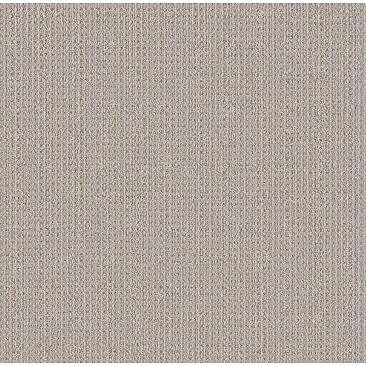 Shaw Floors Finely Detailed — Marble · 5E842-00108 — flooring selection with LeviArs Design & Remodeling