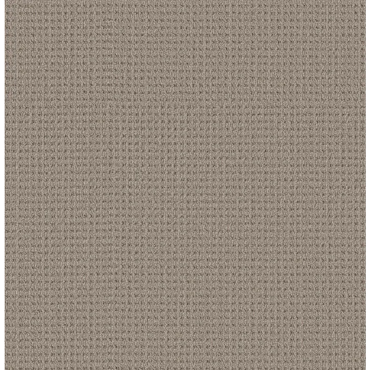 Shaw Floors Finely Detailed — Natural Sisal · 5E842-00705 — flooring selection with LeviArs Design & Remodeling