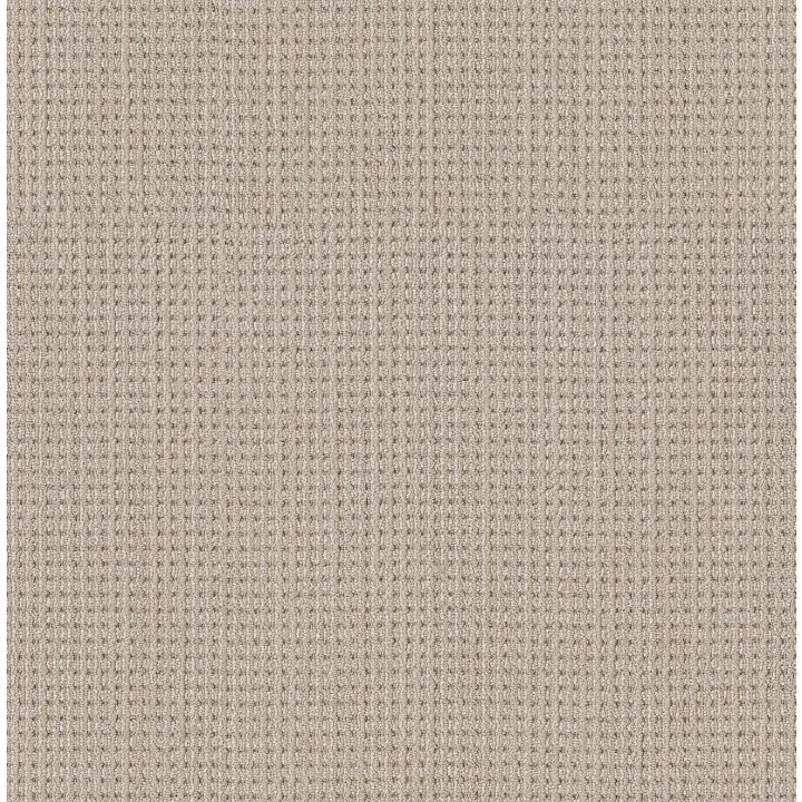 Shaw Floors Finely Detailed — Sun Bleached · 5E842-00110 — flooring selection with LeviArs Design & Remodeling