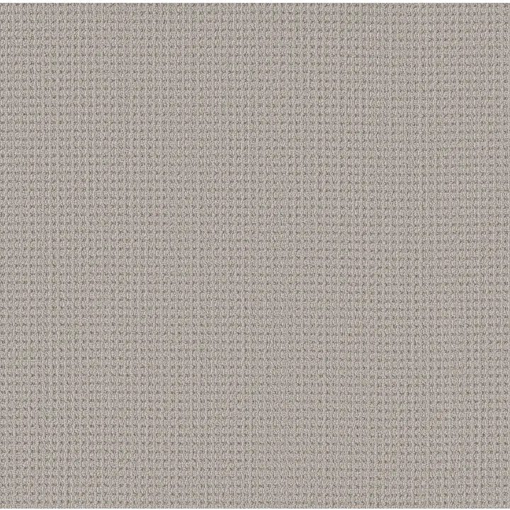 Shaw Floors Finely Detailed — Twilight · 5E842-00101 — flooring selection with LeviArs Design & Remodeling