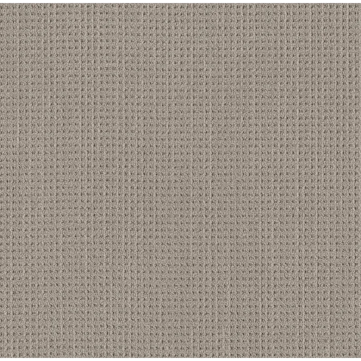 Shaw Floors Finely Detailed — Warm Taupe · 5E842-00505 — flooring selection with LeviArs Design & Remodeling