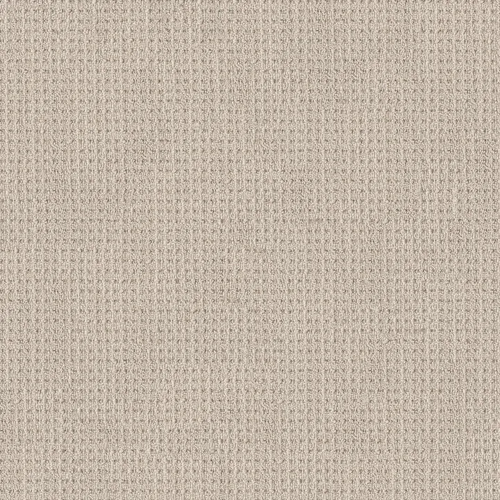 Shaw Floors Finely Detailed — Wool Blanket · 5E842-00105 — flooring selection with LeviArs Design & Remodeling