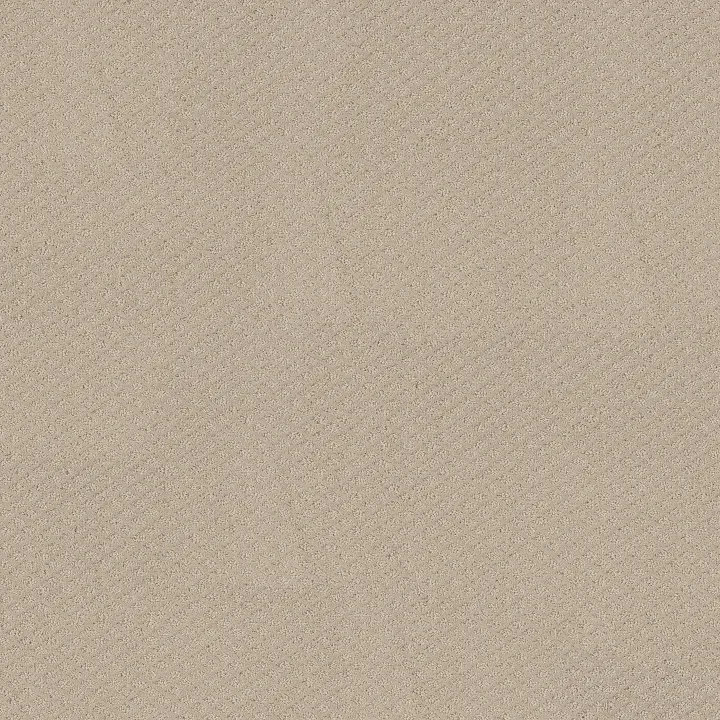 Shaw Floors Formalize — Butter Cream · 5E291-00107 — flooring selection with LeviArs Design & Remodeling
