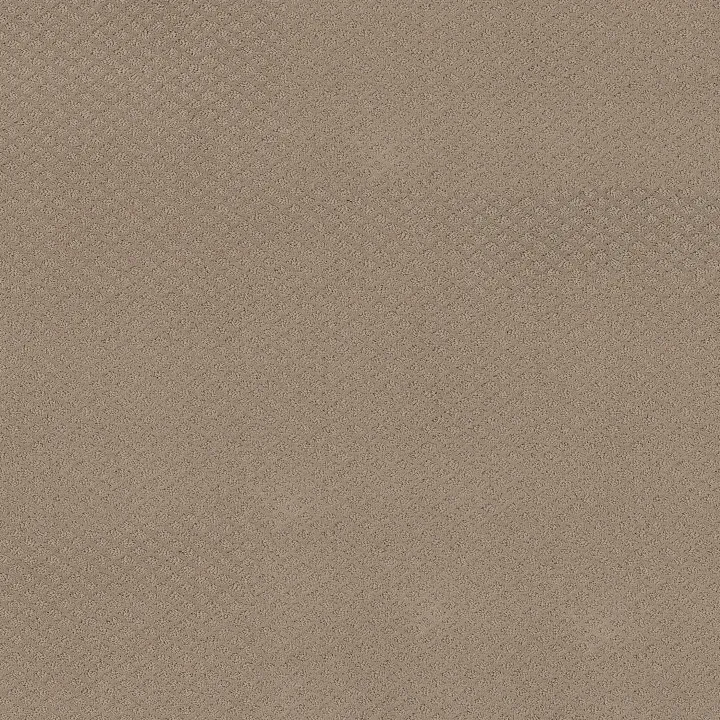 Shaw Floors Formalize — Desert View · 5E291-00701 — flooring selection with LeviArs Design & Remodeling