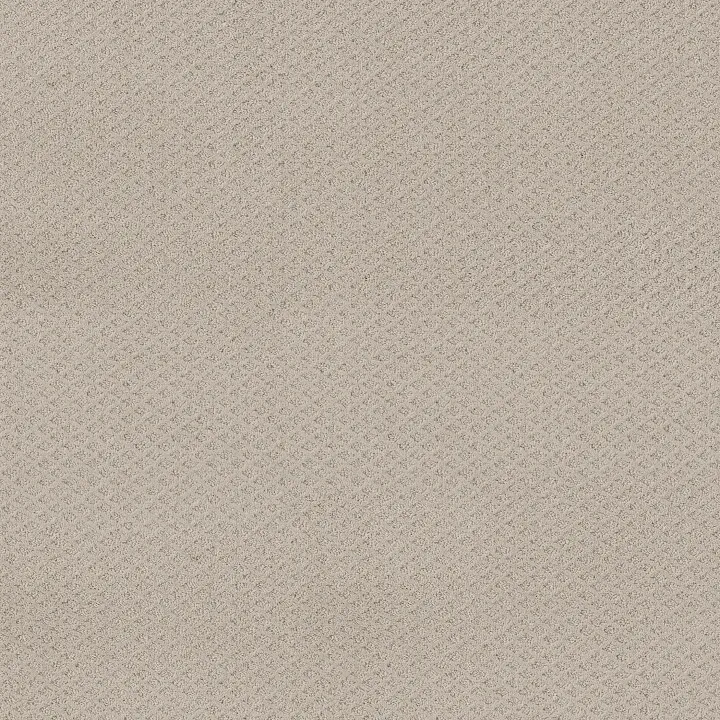 Shaw Floors Formalize — Fossil Path · 5E291-00108 — flooring selection with LeviArs Design & Remodeling