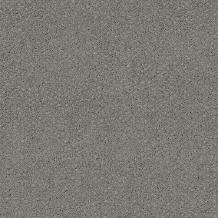 Shaw Floors Formalize — Grey Fox · 5E291-00504 — flooring selection with LeviArs Design & Remodeling