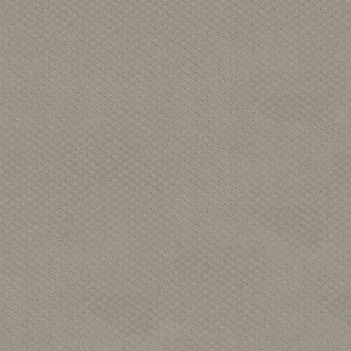 Shaw Floors Formalize — Newstone Haven · 5E291-00502 — flooring selection with LeviArs Design & Remodeling