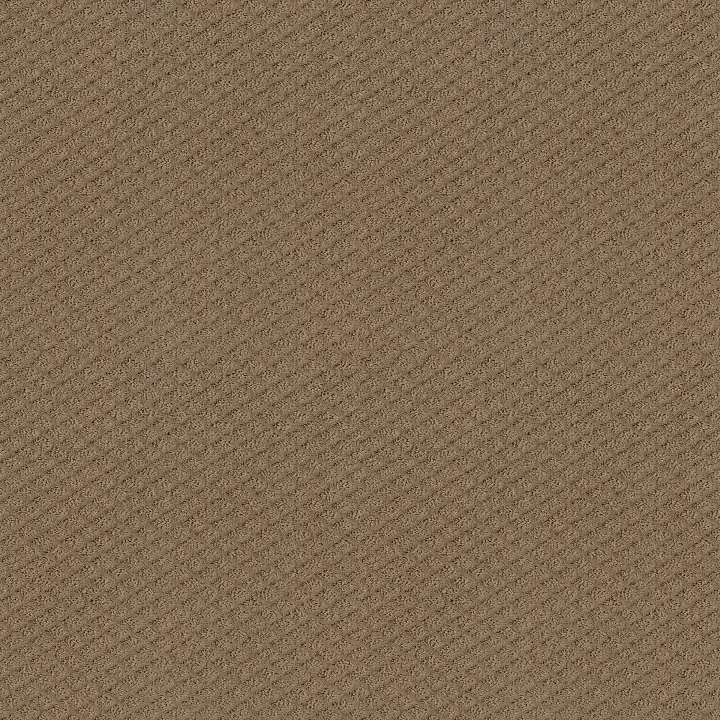 Shaw Floors Formalize — Raw Wood · 5E291-00720 — flooring selection with LeviArs Design & Remodeling