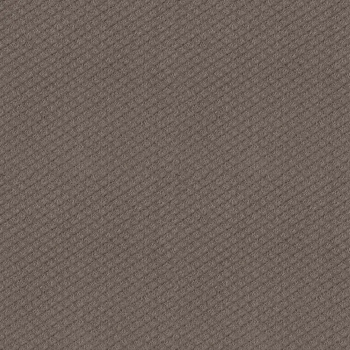Shaw Floors Formalize — Ridgeview · 5E291-00751 — flooring selection with LeviArs Design & Remodeling