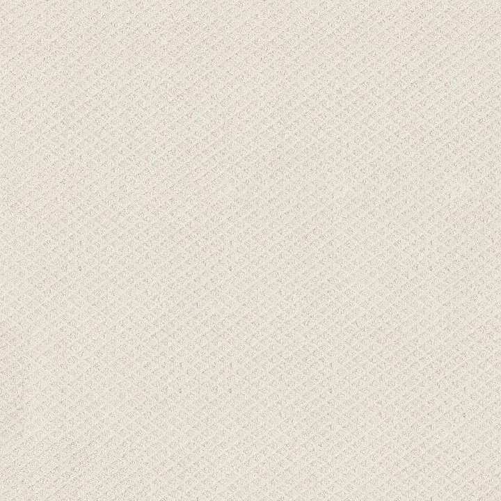 Shaw Floors Formalize — Serene Still · 5E291-00101 — flooring selection with LeviArs Design & Remodeling