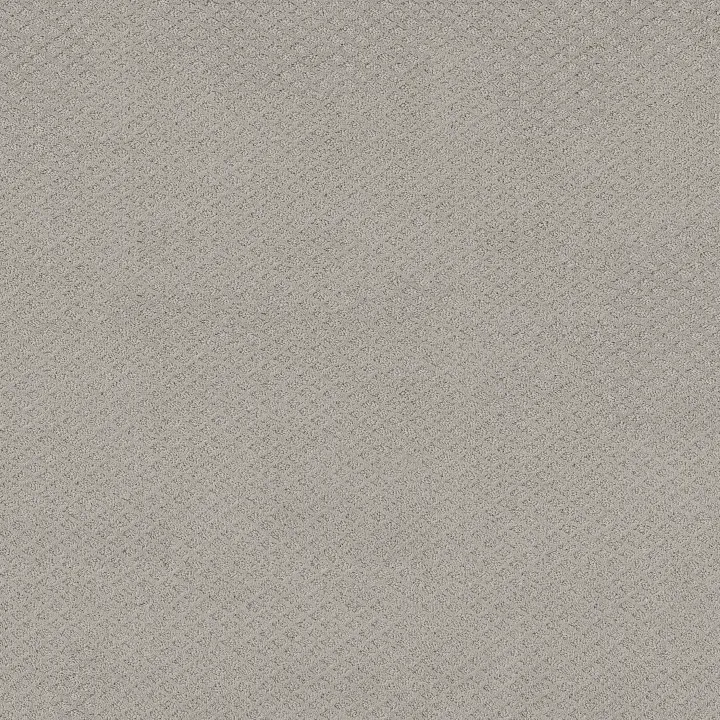 Shaw Floors Formalize — Silver Lining · 5E291-00500 — flooring selection with LeviArs Design & Remodeling