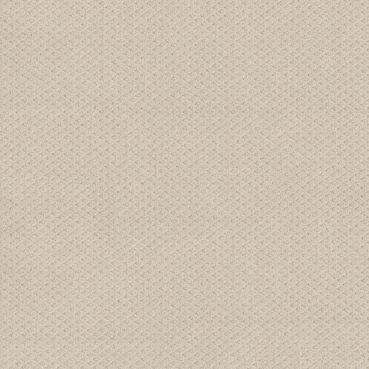 Shaw Floors Formalize — Washed Linen · 5E291-00103 — flooring selection with LeviArs Design & Remodeling