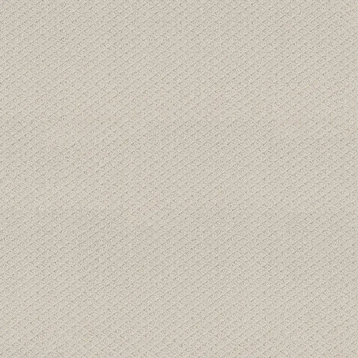 Shaw Floors Formalize — Winters Dawn · 5E291-00102 — flooring selection with LeviArs Design & Remodeling