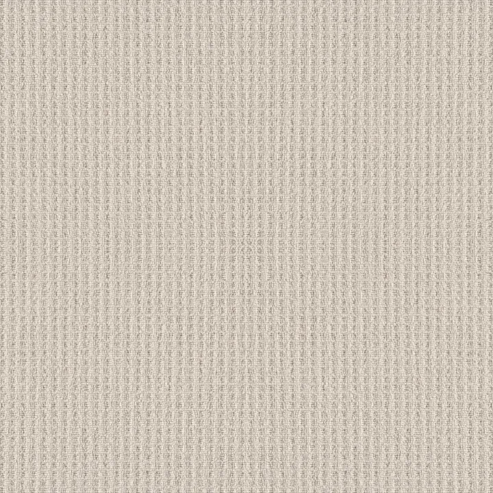 Shaw Floors Framed View — Canvas · 5E449-00103 — flooring selection with LeviArs Design & Remodeling