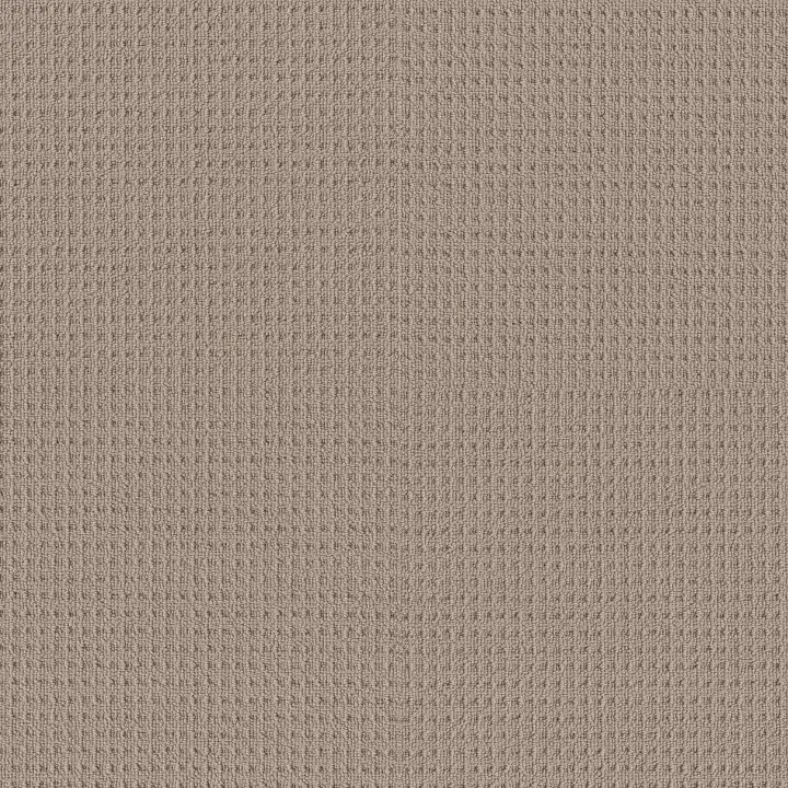 Shaw Floors Framed View — Pebble Path · 5E449-00109 — flooring selection with LeviArs Design & Remodeling