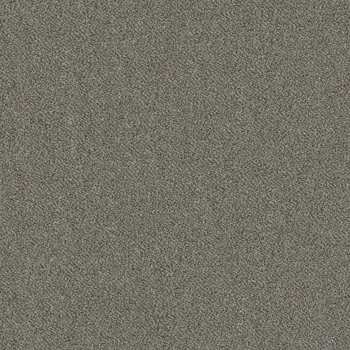 Shaw Floors Game Changing II — Cape Hatteras · 5E967-00730 — flooring selection with LeviArs Design & Remodeling