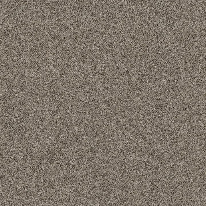 Shaw Floors Game Changing II — Cliffside · 5E967-00132 — flooring selection with LeviArs Design & Remodeling