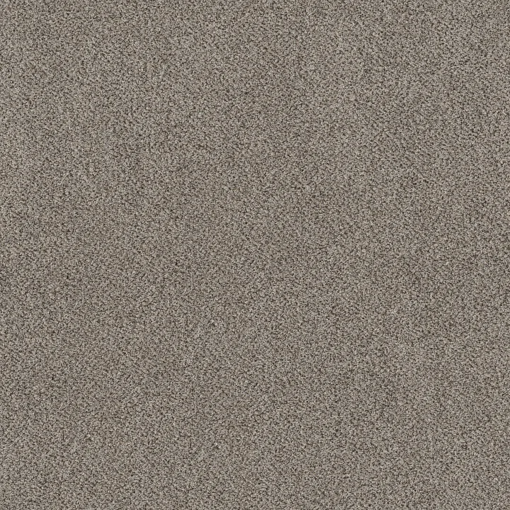 Shaw Floors Game Changing II — Glacier Park · 5E967-00110 — flooring selection with LeviArs Design & Remodeling