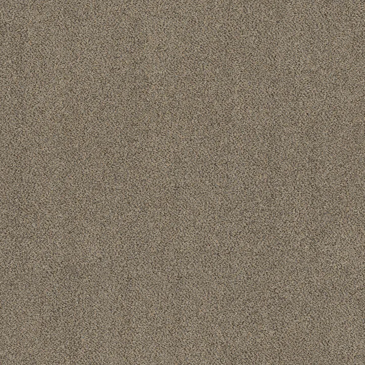 Shaw Floors Game Changing II — Honeycomb · 5E967-00230 — flooring selection with LeviArs Design & Remodeling