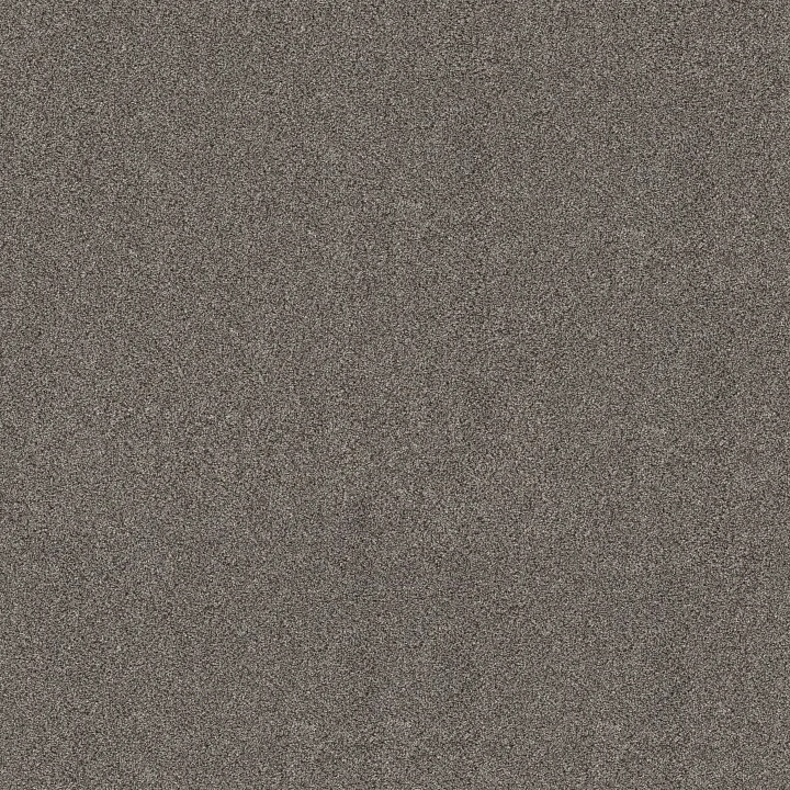 Shaw Floors Game Changing II — Iron Gate · 5E967-00530 — flooring selection with LeviArs Design & Remodeling