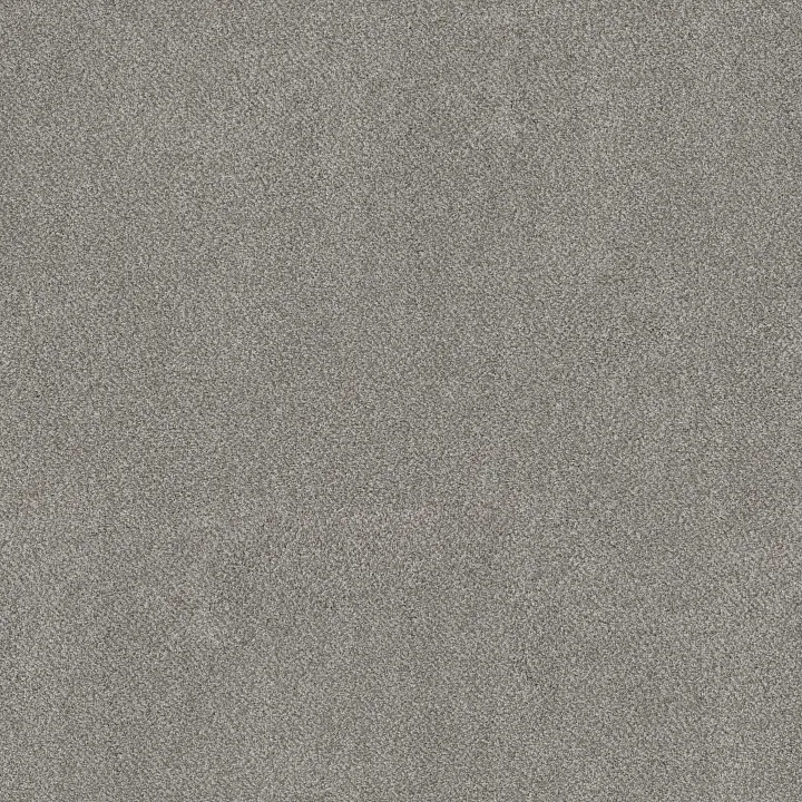 Shaw Floors Game Changing II — Marble · 5E967-00500 — flooring selection with LeviArs Design & Remodeling