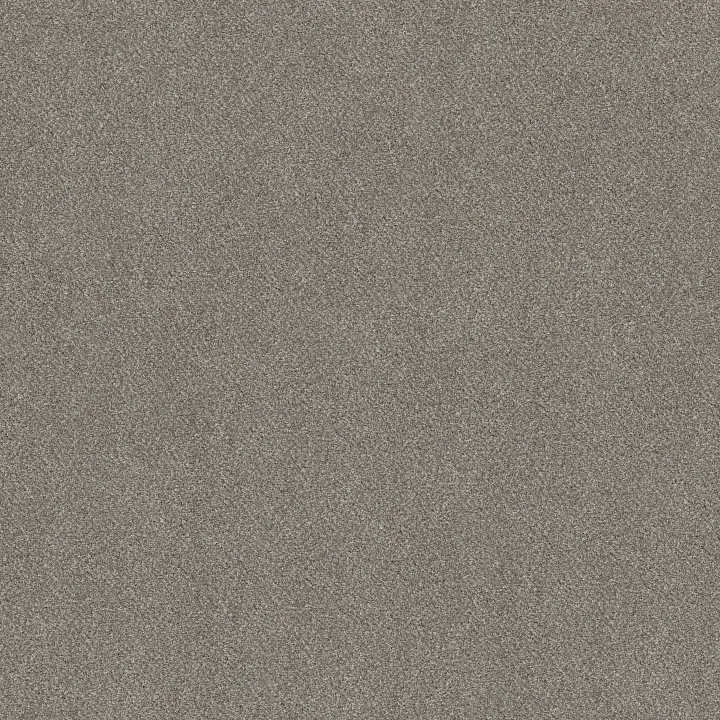 Shaw Floors Game Changing II — Mirage · 5E967-00100 — flooring selection with LeviArs Design & Remodeling