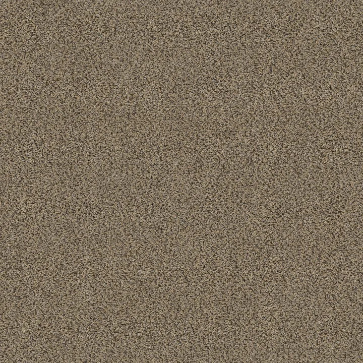 Shaw Floors Game Changing II — Nomad · 5E967-00220 — flooring selection with LeviArs Design & Remodeling