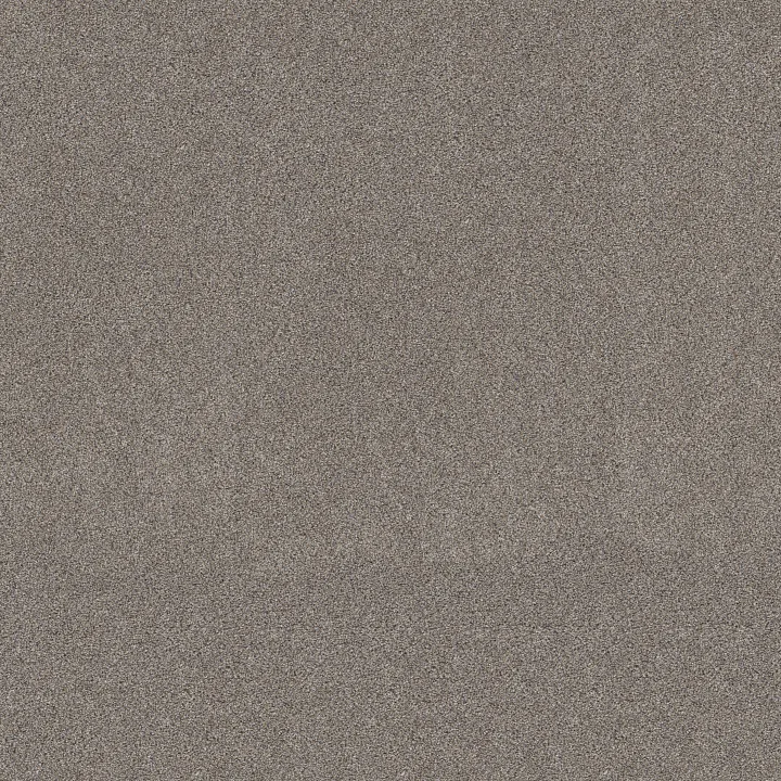 Shaw Floors Game Changing II — Ridgeview · 5E967-00120 — flooring selection with LeviArs Design & Remodeling