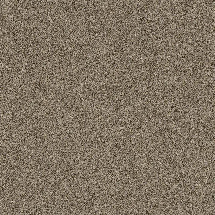 Shaw Floors Game Changing II — Sandstone · 5E967-00130 — flooring selection with LeviArs Design & Remodeling