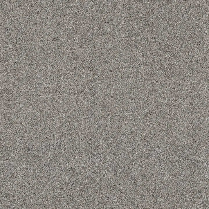 Shaw Floors Game Changing II — Slate · 5E967-00510 — flooring selection with LeviArs Design & Remodeling