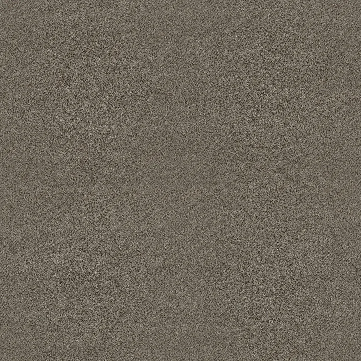 Shaw Floors Game Changing II — Spice · 5E967-00720 — flooring selection with LeviArs Design & Remodeling