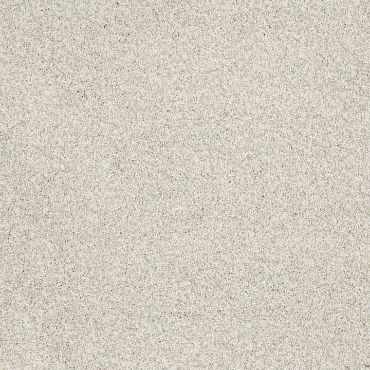 Shaw Floors Gold Texture Tonal — Denali · EA578-00290 — flooring selection with LeviArs Design & Remodeling