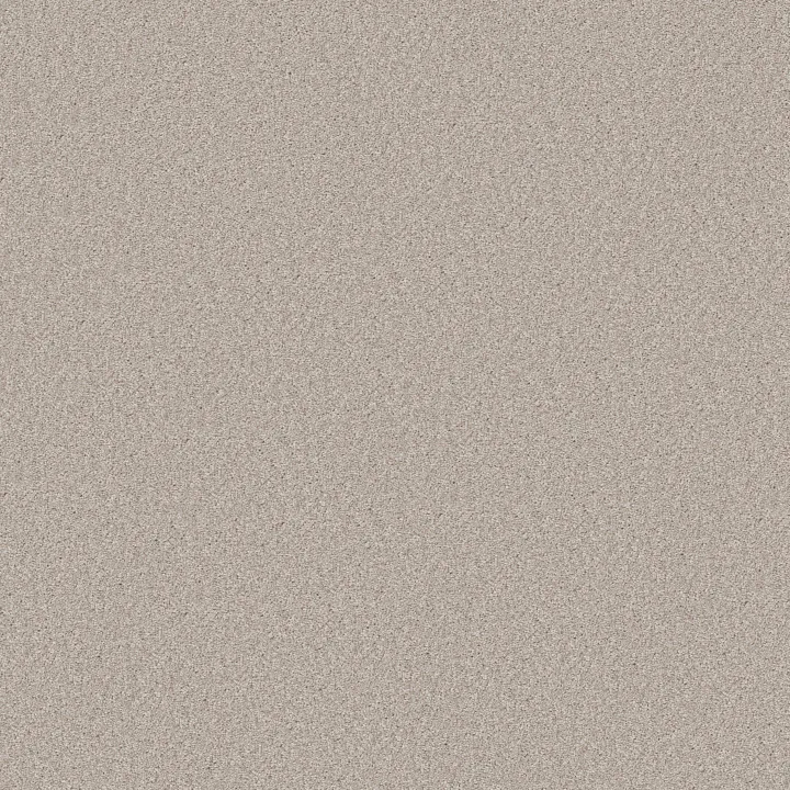 Shaw Floors Good Idea — Desert Light · 5E905-00121 — flooring selection with LeviArs Design & Remodeling