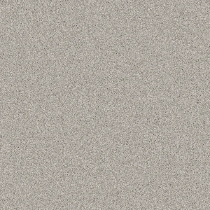 Shaw Floors Good Idea — Ecru · 5E905-00130 — flooring selection with LeviArs Design & Remodeling